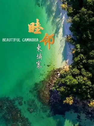 海报背景